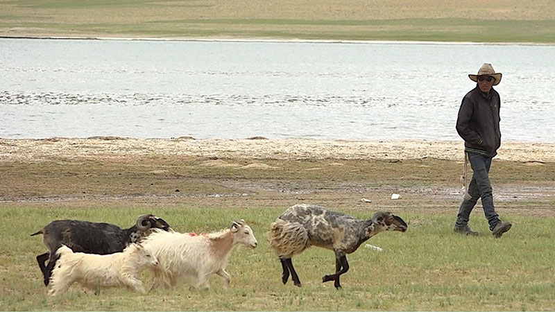 Tibetan Nomads in Exile - Tsering Wangmo