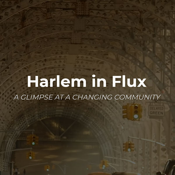 Harlem in Flux: A Glimpse at a Changing Community