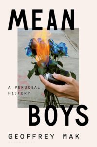 Mean boys book