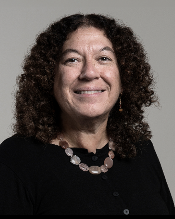 Professor Perri Klass