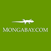 Mongabay
