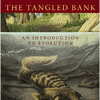 The Tangled Bank