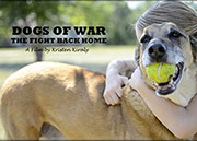 Dogs of War: the Fight Back Home